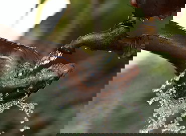 体育品牌跨界合作